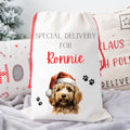 Personalised Dog Christmas Sack / Dog Xmas Sack / Christmas Dog Gift Bag / Christmas Santa Sack